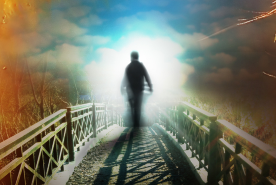 None of the arguments above is enough to prove the survival of consciousness after death.