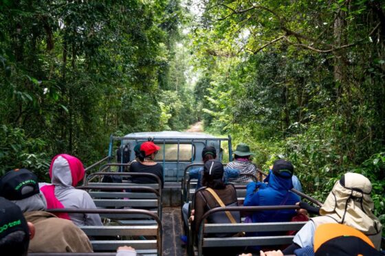 RESPONSIBLE ECOTOURISM IN BRAZIL: THE FUTURE OF SUSTAINABLE TRAVEL STARTS WITH EVERY VISITOR 3 The future of travel depends not on where we go, but on how responsibly we choose to get there