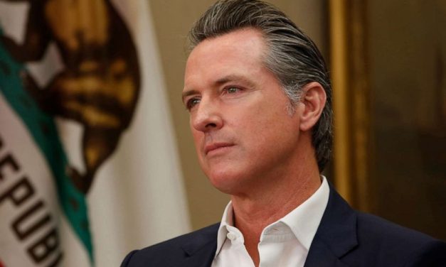 Gavin Newsom reúne CEOs e ex-governadores para recuperar economia da Califórnia após Covid-19