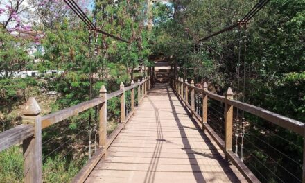 HISTORY, ESOTERICISM, AND ADVENTURE TOURISM: YOU FIND ALL IN PIRENÓPOLIS, GOIÁS