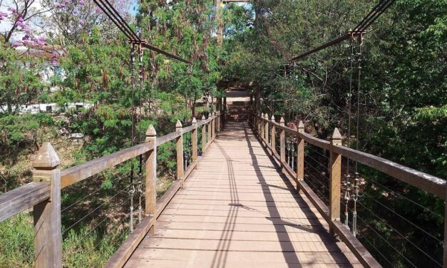 HISTORY, ESOTERICISM, AND ADVENTURE TOURISM: YOU FIND ALL IN PIRENÓPOLIS, GOIÁS