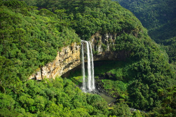 VIAJE PELO BRASIL ATRAVÉS DO CINEMA 3 A Serra Gaúcha foi cenário de O Quatrilho.
