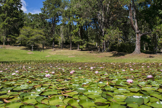 A cidade reúne atrações culturais, trilhas, museus e alguns dos mais belos jardins botânicos do país