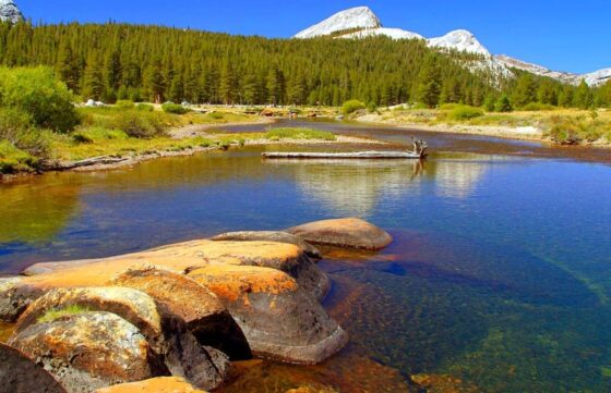 YOSEMITE PARK ACABA COM RESERVAS DE VEÍCULOS EM 2026 E FACILITA ENTRADA DE TURISTAS 3 O destino recebeu 4,76 milhões de visitantes em 2025