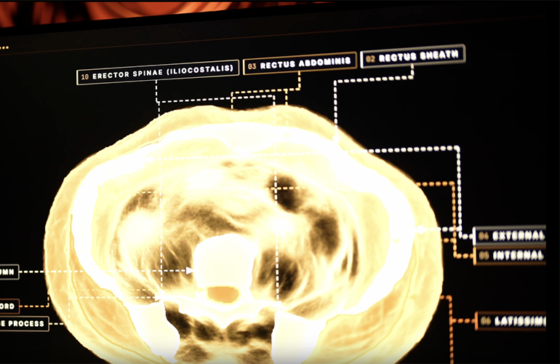 A tecnologia utiliza ondas ultrassônicas e água, eliminando a necessidade de radiação durante o exame