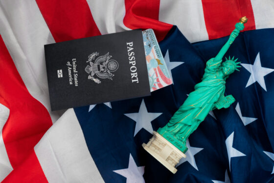 O governo pretende permitir que praticamente todo o processo de emissão do passaporte seja realizado pela internet.