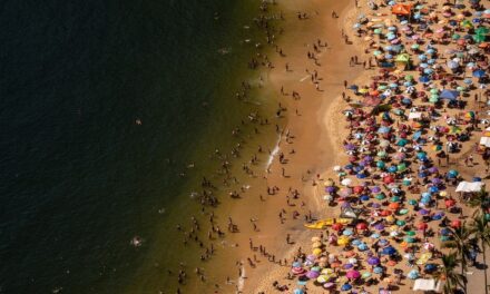 MANIA DE BRASILEIRO: UM OLHAR APURADO SOBRE O COTIDIANO NACIONAL