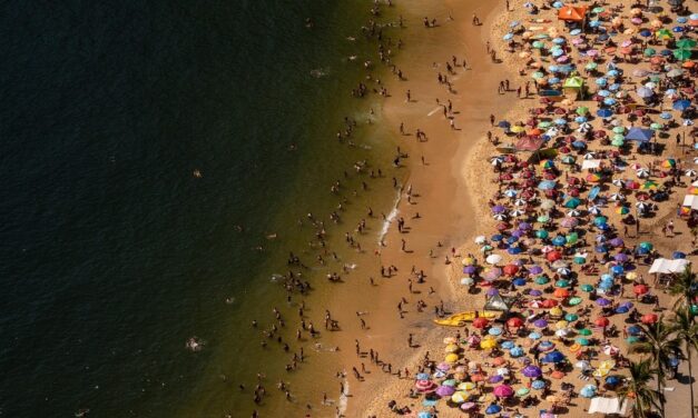 MANIA DE BRASILEIRO: UM OLHAR APURADO SOBRE O COTIDIANO NACIONAL