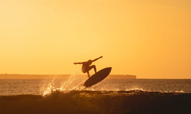 O Surfista, a Prancha, o Professor e a Onda