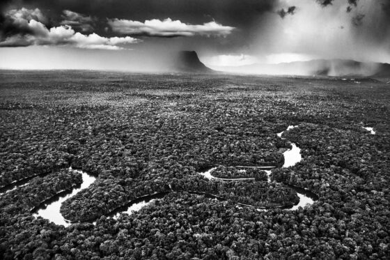 Image Rio Cauaburi Sebastiao Salgado