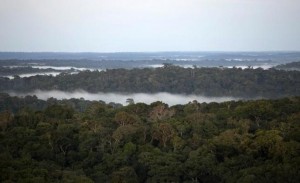 A view is seen from the Amazon Tall Tower Observatory (ATTO) in Sao Sebastiao do Uatuma in the middle of the Amazon forest in Amazonas state January 8, 2015. REUTERS/Bruno Kelly