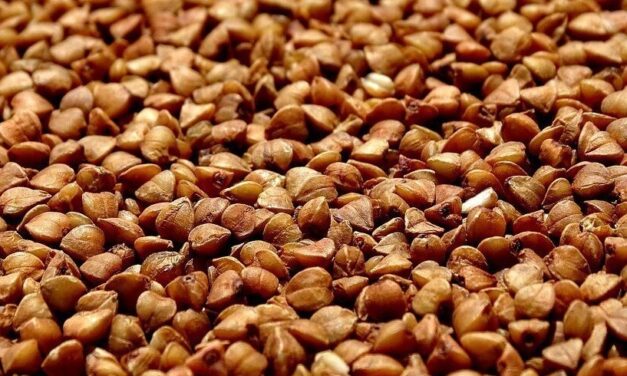 Buckwheat: Another Nature’s Superfood