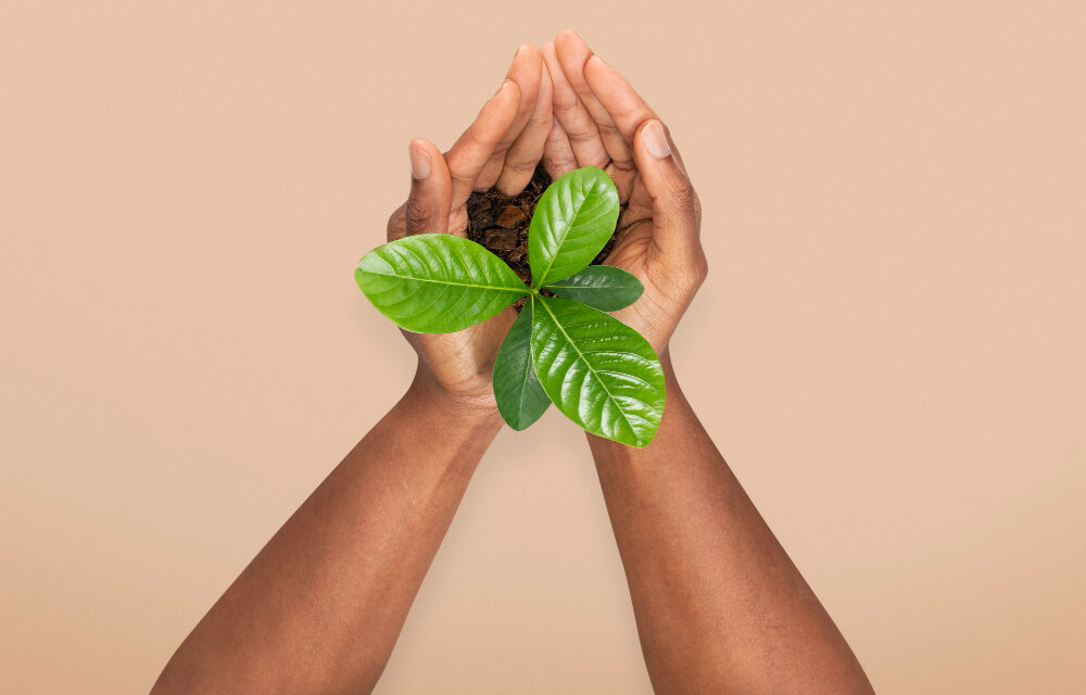 COMO JOVENS NO BRASIL ESTÃO LIDERANDO SOLUÇÕES CLIMÁTICAS E SUSTENTÁVEIS