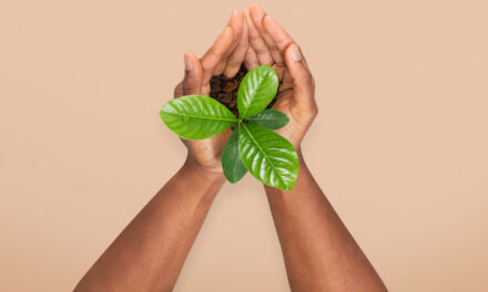 COMO JOVENS NO BRASIL ESTÃO LIDERANDO SOLUÇÕES CLIMÁTICAS E SUSTENTÁVEIS
