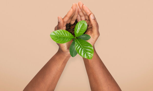 COMO JOVENS NO BRASIL ESTÃO LIDERANDO SOLUÇÕES CLIMÁTICAS E SUSTENTÁVEIS