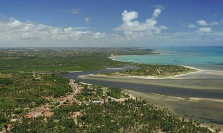 Roteiro Ecológico na Costa dos Corais: Um Turismo Sustentável em Alagoas e Pernambuco