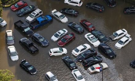 Texas Recebe Ajuda de Celebridades e Países Estrangeiros Após Furacão Harvey