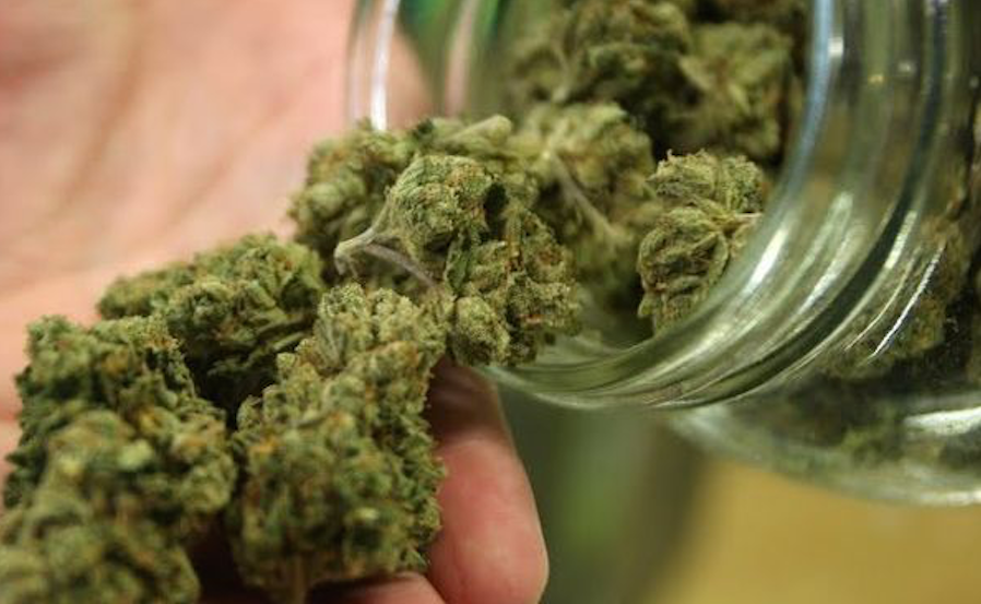 Venda de Maconha Para Uso Recreativo Entra em Vigor na Califórnia