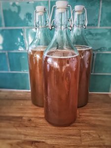 kombucha 1074594 960 720