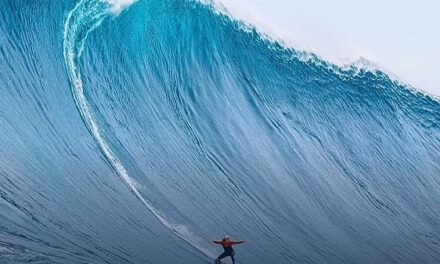 Big Waves, Experienced Surfers, Challenges and Partnerships