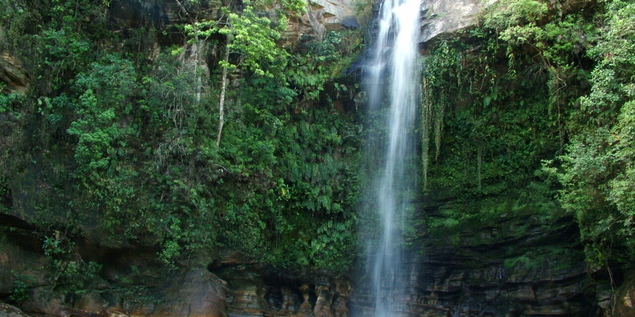 THE WATERFALL’S PARADISE