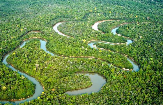 rio amazonas e1709772483899