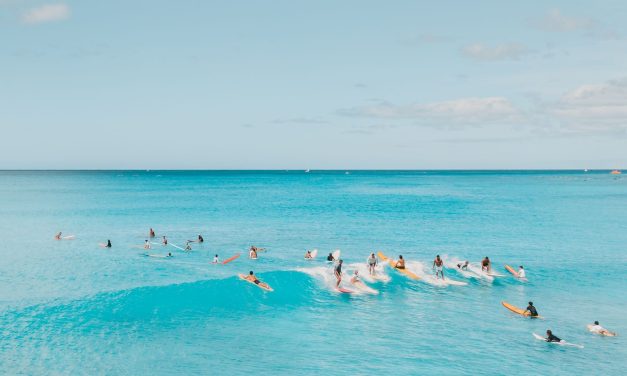 SURF: THE COSMIC ENERGY OF THE WAVE AND YOU