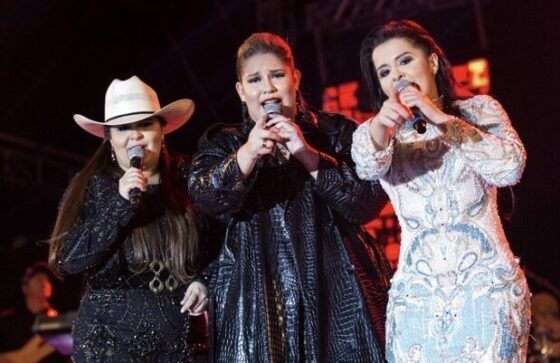 Female artists reshaped the industry and expanded its fan base.