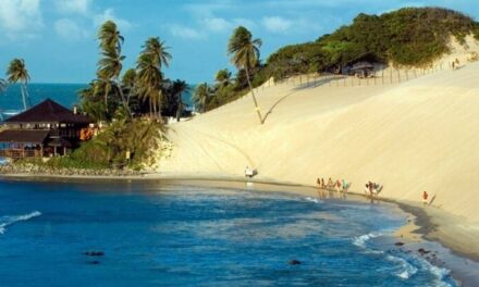 Praia da Pipa: Vida Noturna Agitada sem Perder os Encantos Naturais