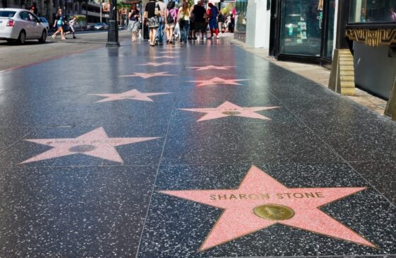 Investir em estudos e aprimoramento contínuo é essencial para quem deseja uma carreira artística bem-sucedida em Hollywood