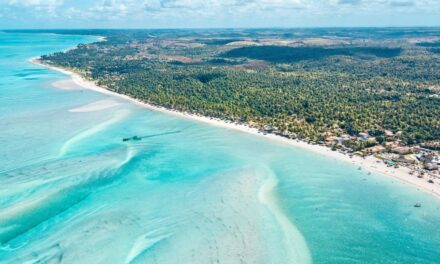 BRAZILIAN HOTSPOT: MARAGOGI IN THE STATE OF ALAGOAS