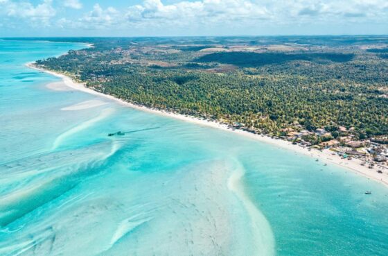 Image Maragogi in Alagoas is a charm small town and Brazilian hotspot