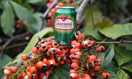 Brazilian Guaraná: Numbers and Facts