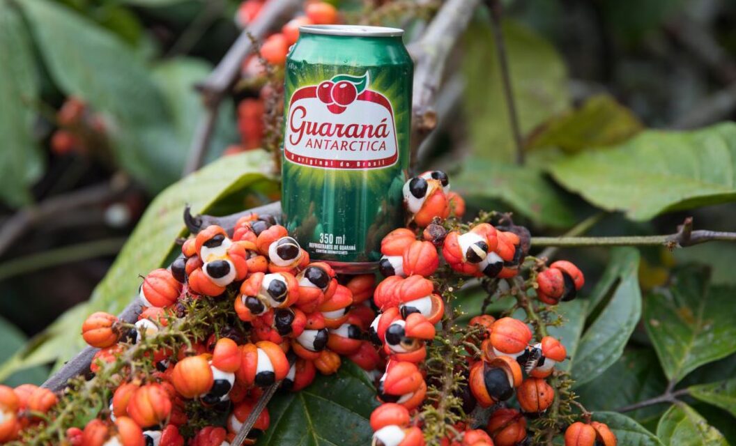 Brazilian Guaraná: Numbers and Facts