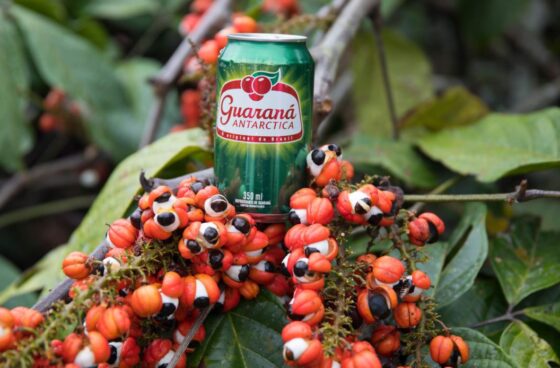 Guarana e1740447729656