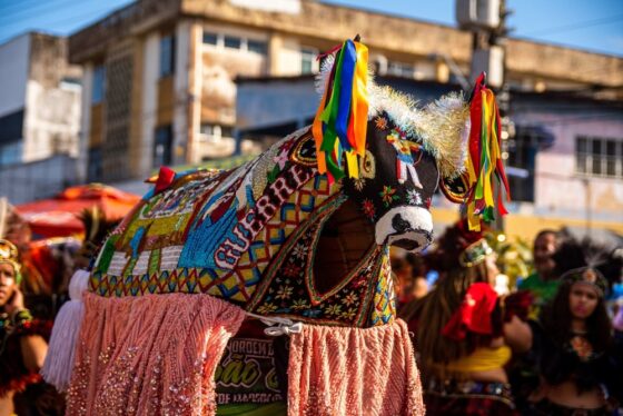 sao joao no maranhao a festa junina do bumba meu boi