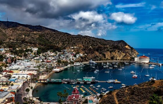 Catalina Island is a charming seaside village combined with a protected, rugged wilderness, offering South Pacific vibe. 