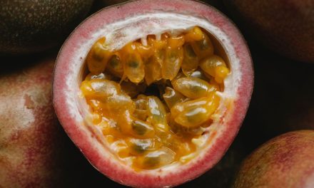 PASSION FRUIT PEEL AND BLOOD SUGAR: THE SURPRISING BENEFITS OF THE PART WE THROW AWAY