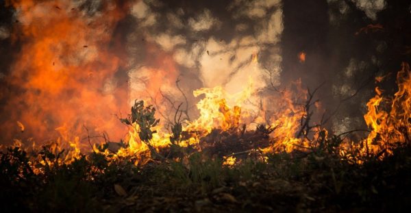 Na California Fumaca Obriga Pessoas a Deixarem Suas Casas