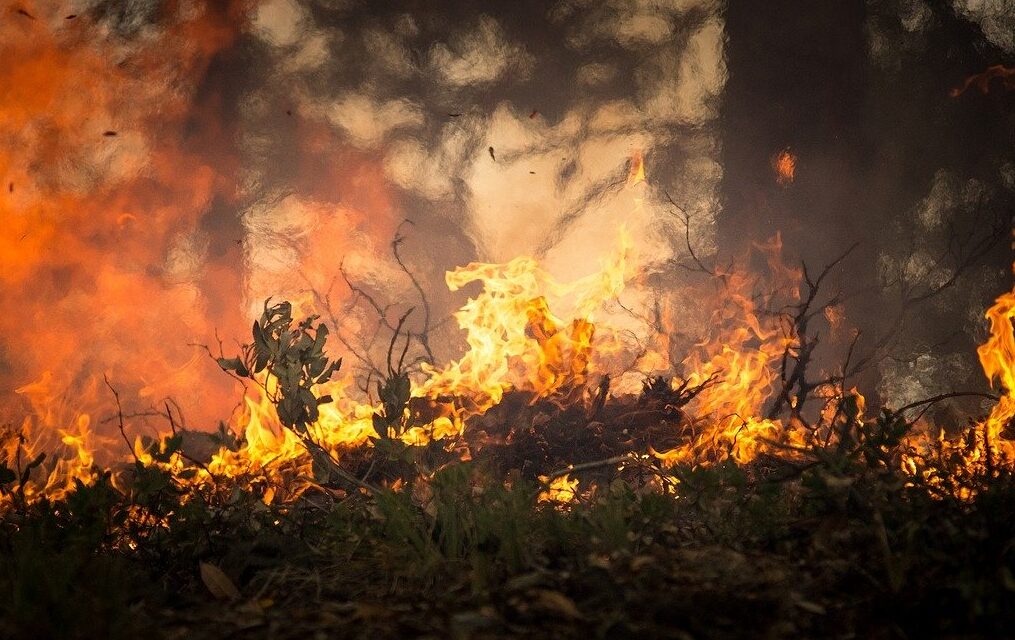 Na Califórnia, Fumaça Obriga Pessoas a Deixarem Suas Casas