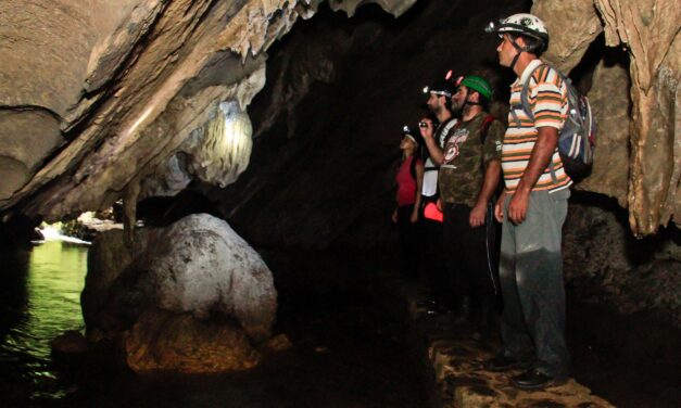 FIND OUT BEAUTIFUL TREASURES AT ALTO RIBEIRA STATE PARK IN SÃO PAULO