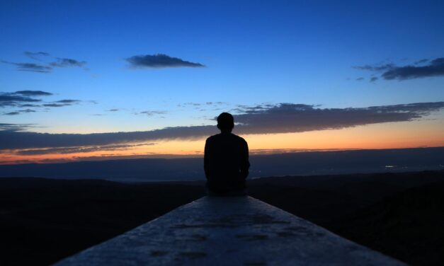 Alcance Paz, Amor e Felicidade Plena com uma Mente Estável