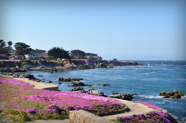  Monterey is best known for the outdoors! It also has some of the state's oldest historic sites.