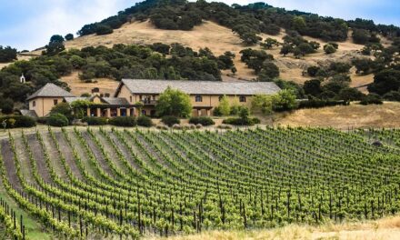 Série Rotas na Califórnia: Classic Wine Counties