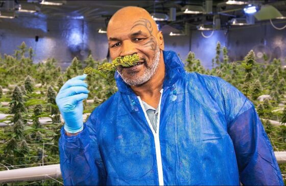 cannabis mike tyson e1708649796489