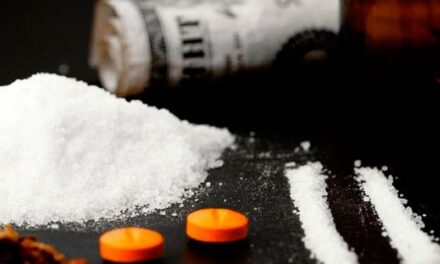 Estado do Oregon se Torna o Primeiro a Descriminalizar Todas as Drogas para uso Pessoal