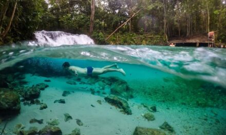 JALAPÃO: BRAZIL’S GOLDEN DESERT OASIS OF ADVENTURE