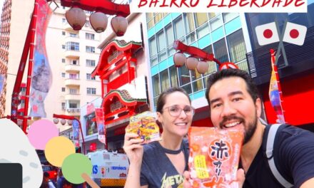 THE IMPORTANCE OF JAPANESE IMMIGRATION TO BRAZIL: MORE THAN A CENTURY OF HISTORY