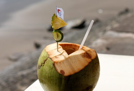 Image Fresh Coconut Water e1726617207100