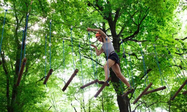 TREE CLIMBING: ACROBATICS ON A NATURAL CIRCUS